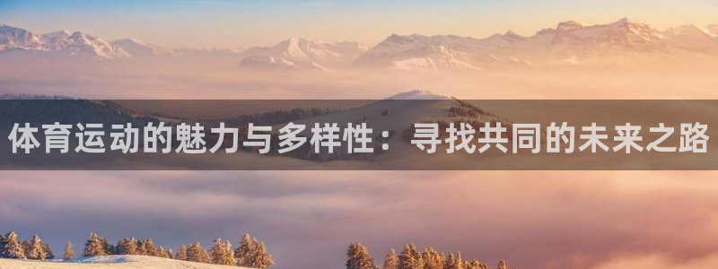 77体育官网