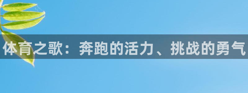 77体育app下载官网