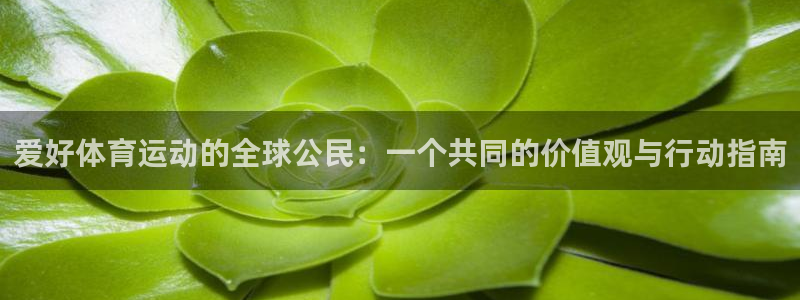 77体育官网