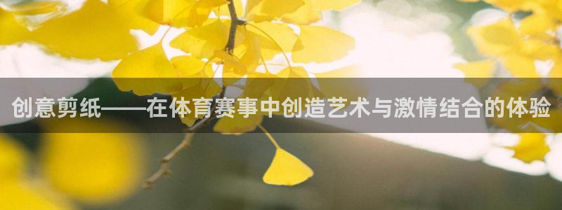 77体育官网