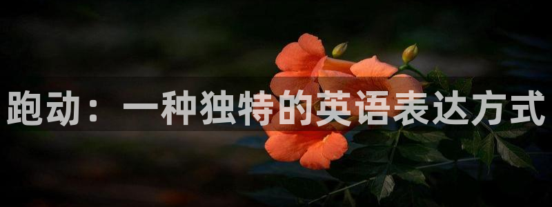 77体育官网